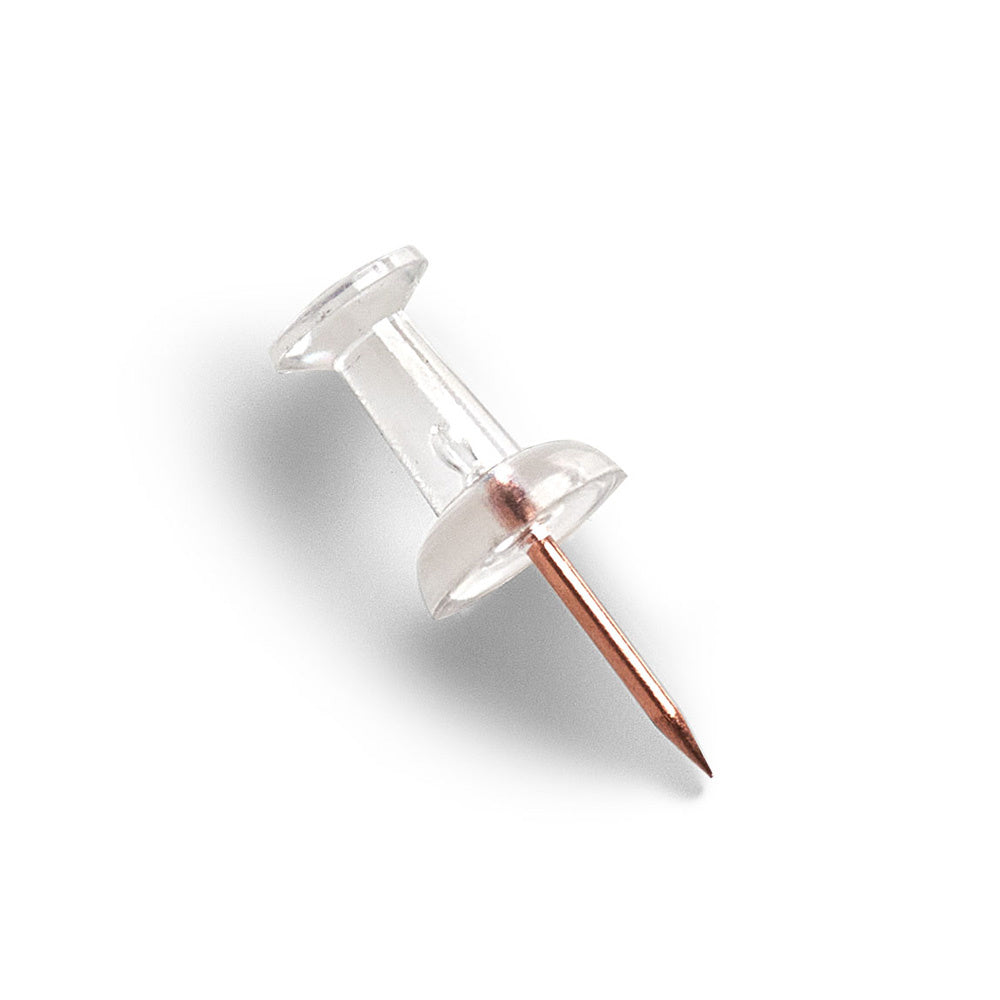 doorzichtige punaises