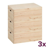 Houten kist met deksel large (voordeelbundel) Zeller Present