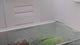 Koelkast plank verdeler Joseph Joseph - FridgeStore